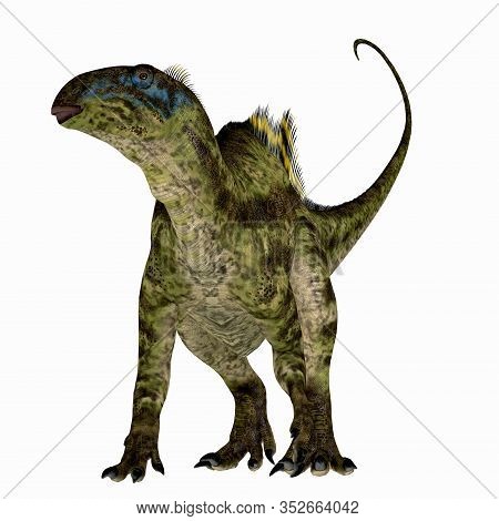 Tenontosaurus Dinosaur On White 3d Illustration - Tenontosaurus Was An Ornithopod Herbivorous Dinosa