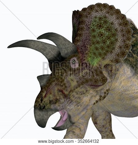Triceratops Dinosaur Head 3d Illustration - Triceratops Was A Herbivorous Ceratopsian Dinosaur That 