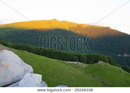 Gregge sul pendio della montagna