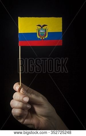 Hand With Small Flag Of State Of Ecuador