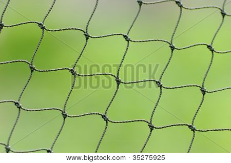 Net