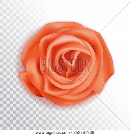 Realistic 3d Pickled Ginger Rose. Pink Sushi Condiment Isolated On White Background. Asian , Top Vie