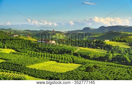 Langhe Vineyards And Hazel Tree Cultivation, Serralunga D Alba, Unesco Site, Piedmont, Northern Ital