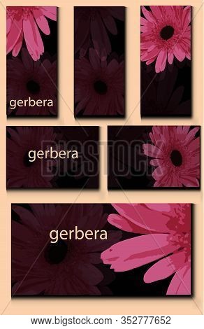 Set Of Templates, Banners, Business Cards, Posters. Pink Flowers, Gerberas On A Dark Background. Bac