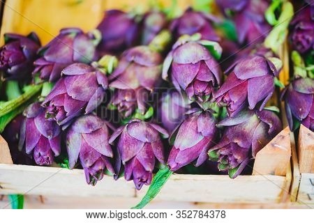 Fresh Artichokes Of Venezia Market Also Called Carciofi In Italian Language. Italy