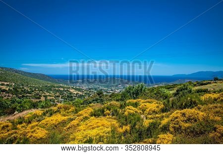 Panoramic view from above on the forests of Evia island  with the sea on the horizon on a sunny day. Evia . Greece. 