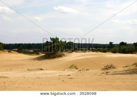 Dunas