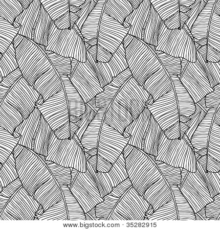 Vektor illustration blade af palme. Sømløse mønster.