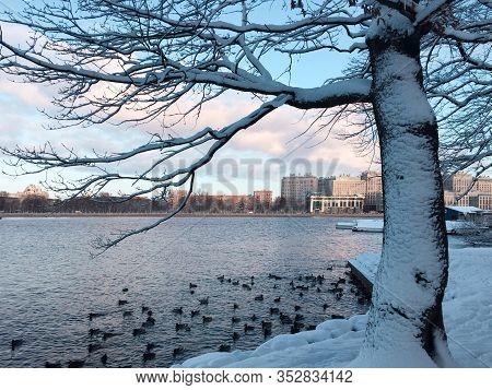 Saint Petersburg.  Malaya Nevka.  Picturesque Winter City Landscape.  Walk Around The City.