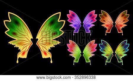 Set Different Colorful Flame Gradient Butterfly Wings