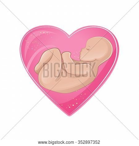 Baby Embryo In Pink Heart In Profile