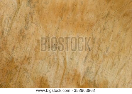 Texture Background Of Dried Banana Leaf. Closeup And Copy Space.