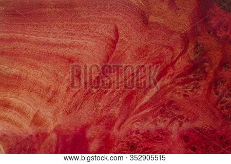 Close Up Nature Jamba Pink Burl Wood Striped, Exotic Wooden Beautiful Pattern For Crafts Or Abstract