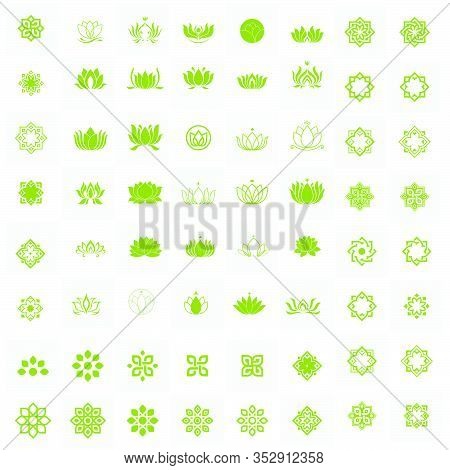 Set Of Green Nature Leaf Logo Design Vector