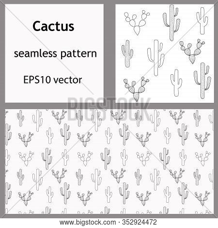 Cacti Seamless Pattern And Rectangular Backdrop. Outline Doodle Hand-drawn Cactus Succulents  For Ba