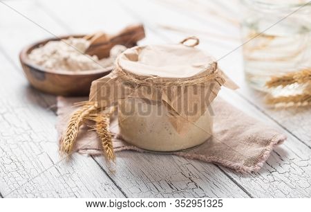 The Leaven For Bread Is Active. Starter
Sourdough ( Fermented Mixture Of Water And Flour To Use As L