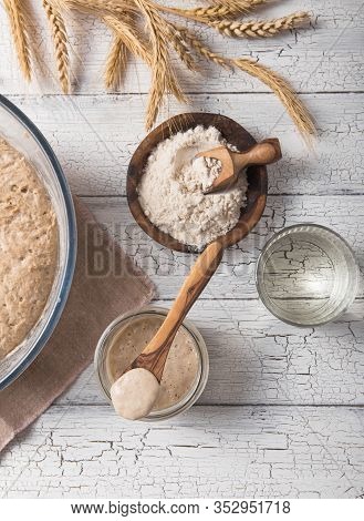 The Leaven For Bread Is Active. Starter
Sourdough ( Fermented Mixture Of Water And Flour To Use As L