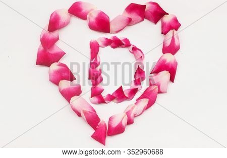 Love Shape Rose Petal Letter D Background Image On White Background. Letter D Into Love Shape