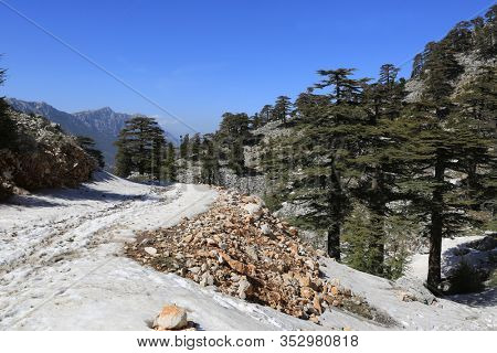 Mountain pathway to Tahtali Dagi in Turkey. Likya Yoly tourist walkway
