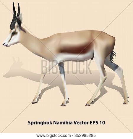 Drawing Realistic Springbok With Shadow On A Beige Background, Isolated. Vector Illustration Eps 10