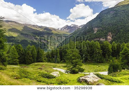 Passo Gavia