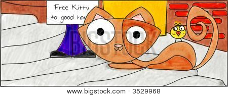 Kitty libero di buona casa