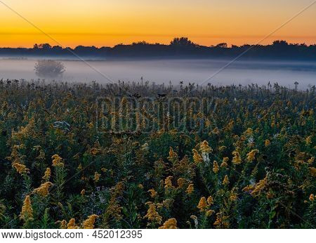 The Sun Rises Over Springbrook Prairie Forest Preserve In Dupage County, Illinois