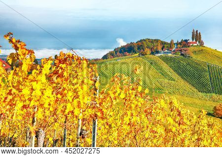 Fabulous Vineyards Landscape In South Styria Near Gamlitz. Autumn Scene Of Grape Hills In Popular Tr