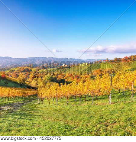 Fabulous Vineyards Landscape In South Styria Near Gamlitz. Autumn Scene Of Grape Hills In Popular Tr
