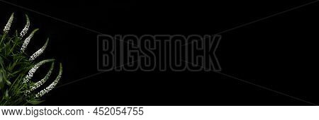 White Flowers Lay Flat On Black Background Banner