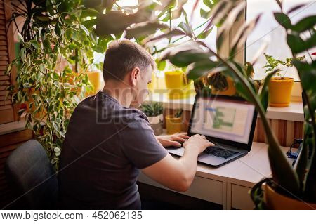 A Man Working With Laptop Remotely From Home. A Distant Work Place With Many Home Plants. Green Natu