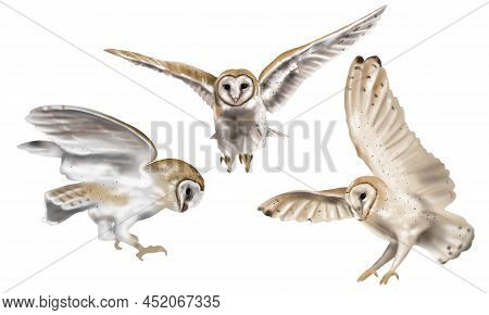 Watercolor Set Flying Owl Barn Owl. A Realistic Illustration Of An Owl. White Bird With Beige Wings 