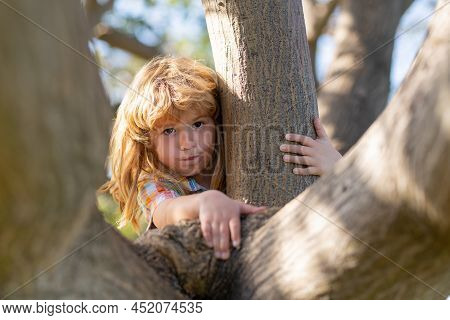 Young Child Blond Boy Climbing Tree. Happy Child Playing In The Garden Climbing On The Tree. Funny K