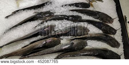 Clarias Macrocephalus (gunther), Frozen On Shelf, In Supermarket, Freshwater Fish Commonly Consumed 