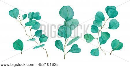 Watercolor Floral Illustration Set - Green Leaf Branches Collection, For Wedding Stationary, Greetin
