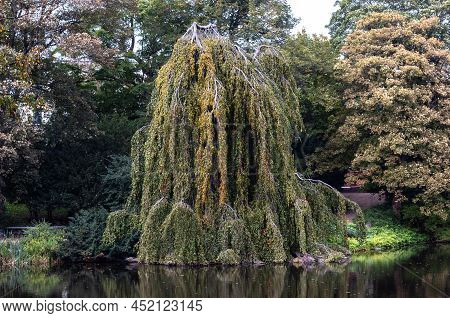 Copenhagen, Denmark. Oersted Park In The City Center. Tourism In Denmark.
