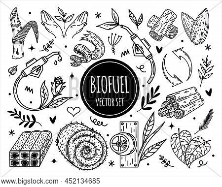 Biofuel Vector Icon Set. Hand Drawn Illustration Isolated On White Background. Alternative Energy So