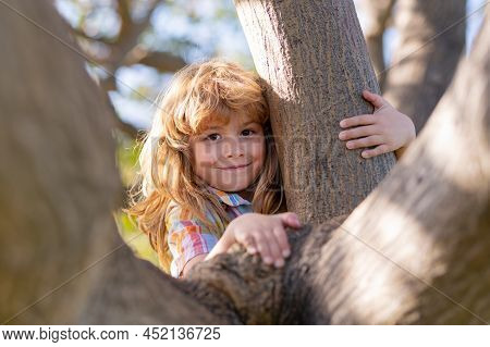 Child On A Tree Branch. Child Climbing In Adventure Activity Park. Insurance Kids. Little Boy Kid Fa
