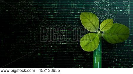 Carbon Nautral, Esg Concepts. Green Leaf Inside A Computer Circuit Board. Growth. Environmental, Bus