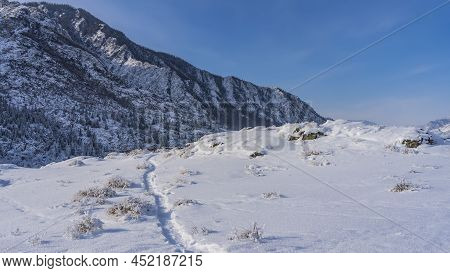 A Well-trodden Path Winds Through A Valley Between Snowdrifts. Frosted Dry Grass On The Roadsides. A