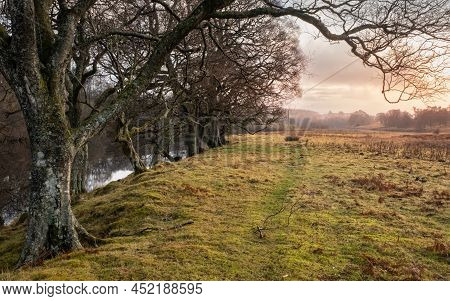 A Treelined Trail Along The Water Of Ken River At Kendoon At Sunset In Winter