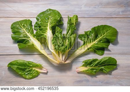 Balkan Cuisine. Blitva ( Chard Leaves ) - Popular Leafy Vegetables. Space For Text