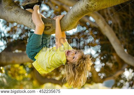 Cute Little Kid Boy Enjoying Climbing On Tree On Summer Day. Kids Climbing Trees, Hanging Upside Dow