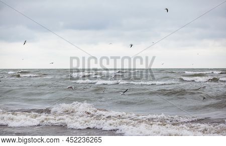 Huge Waves Raging In The Sea And Seagulls In The Spray Of Waves. Storm At Sea. Birds Fly Over The Wa