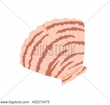 Sea Shell, Clam. Marine Undersea Mollusc. Scallop Mollusk Icon. Ocean Underwater Seashell. Exotic Be