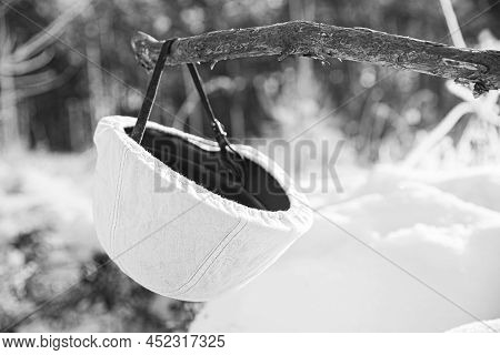 German Wehrmacht Infantry Soldiers White Helmet Hanging On Wooden Banch In Snow Winter Forest. World