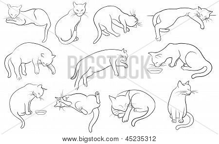 Ilustração em vetor de gatos silhueta definida