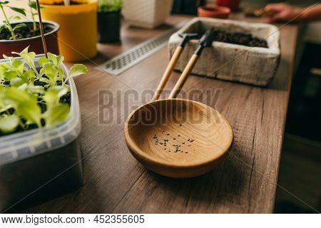 Tomato Seeds In A Wooden Bowl For Home Planting