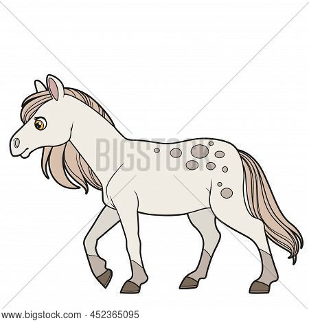 Cute Cartoon Horse Color Variation For Coloring Page Isolated On White Background