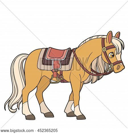 Cute Cartoon Horse In Harness Color Variation For Coloring Page Isolated On White Background